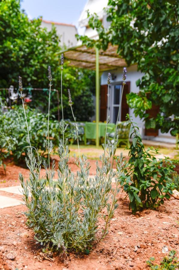 Gaia Residence Hersonissos  Ngoại thất bức ảnh