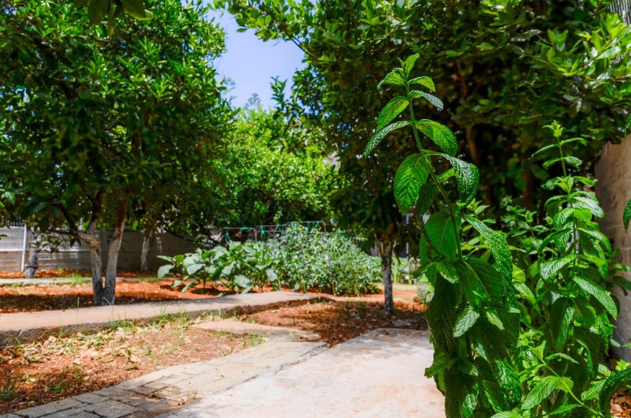 Gaia Residence Hersonissos  Ngoại thất bức ảnh